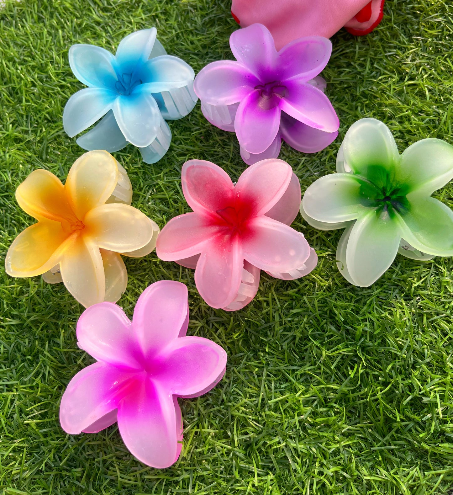 Viral pintresty hair clutcher clips🌺💐🌸🌼🌷(matt finish)