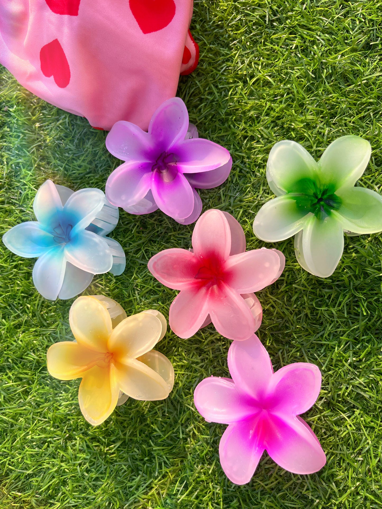 Viral pintresty hair clutcher clips🌺💐🌸🌼🌷(matt finish)